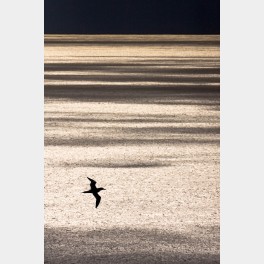 Noir et blanc