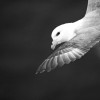 Regard croisé