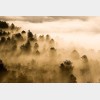 Automne