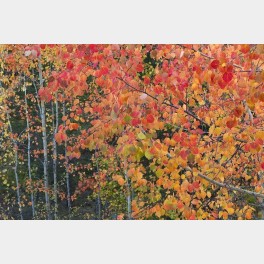 Feuilles d'automne