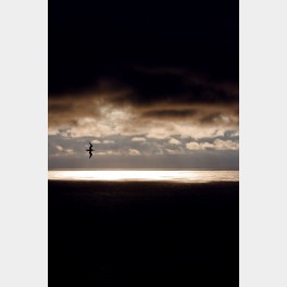 Entre ciel et mer